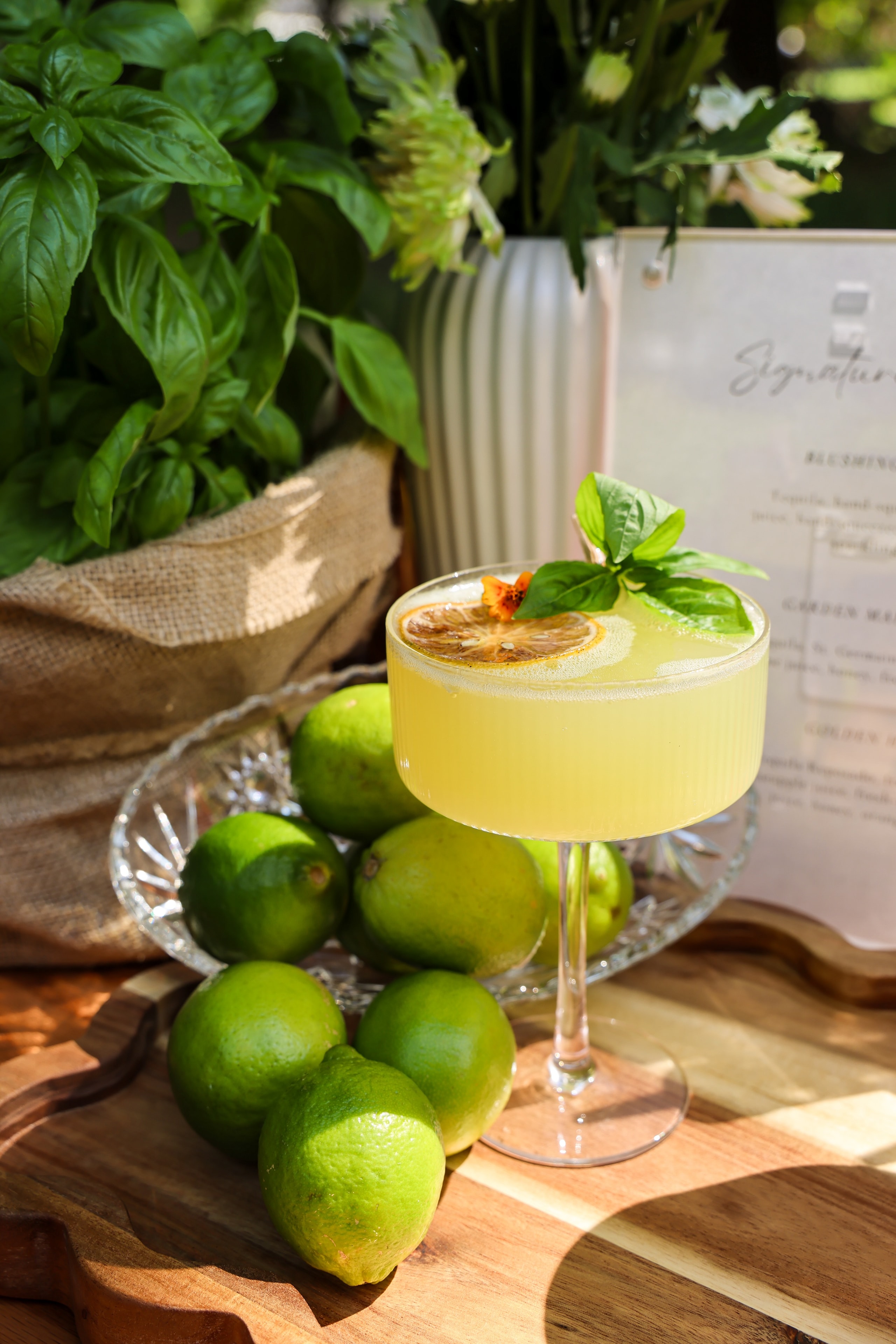 Lime cocktail with basil garnish and fresh herbs