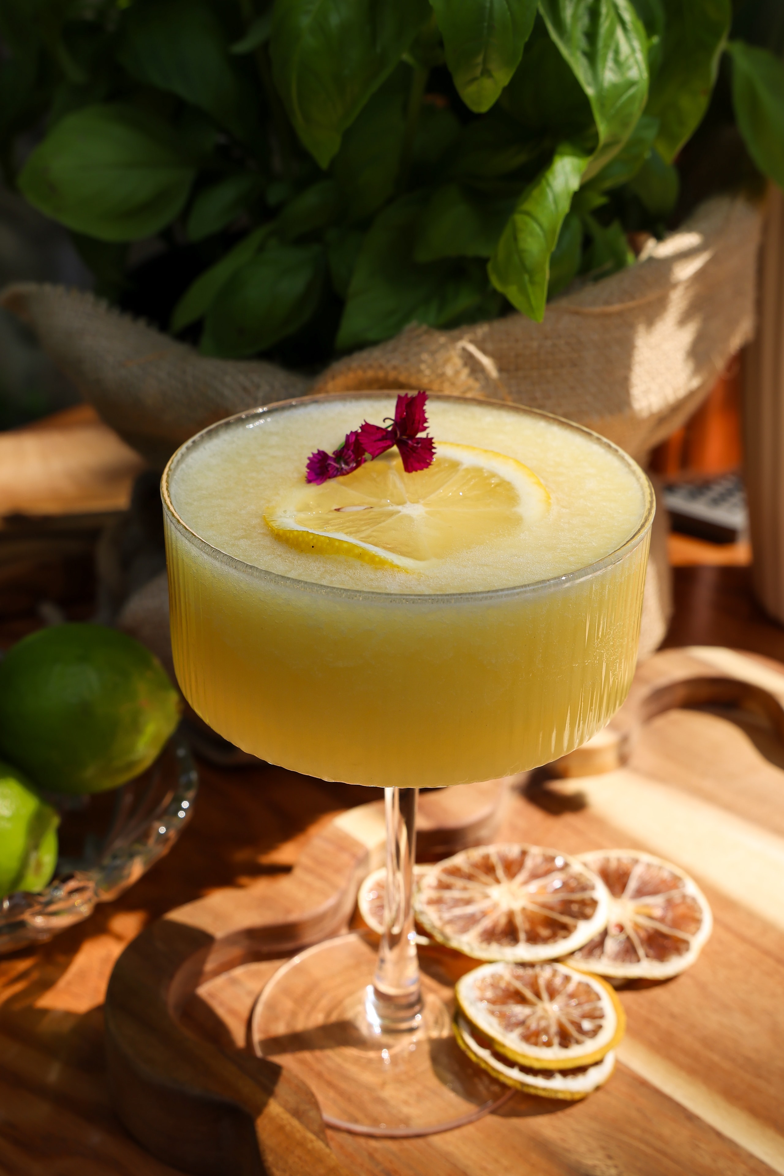 Blush Curated seasonal cocktail in coupe glass with lemon and floral garnish