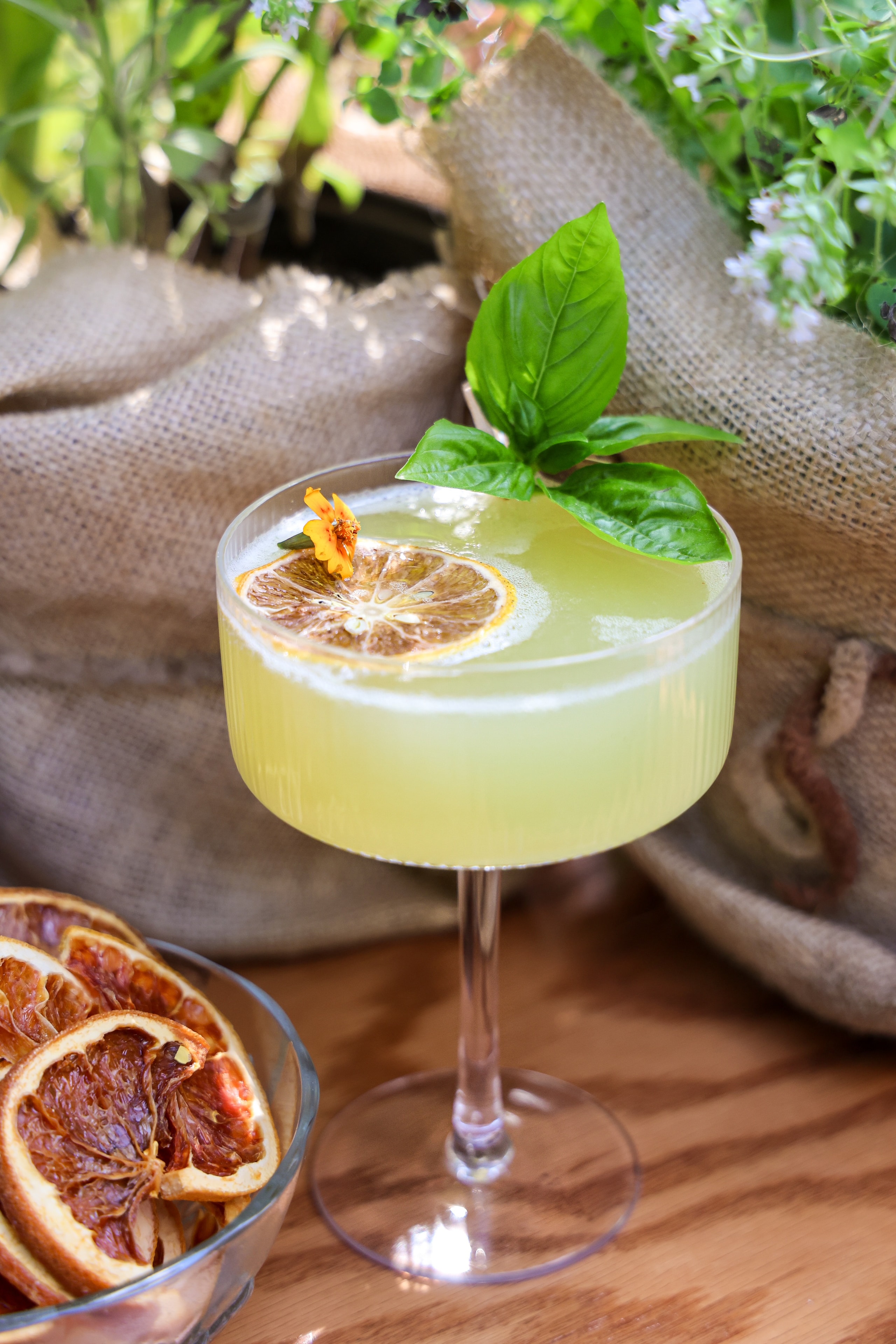 Blush Society elevated cocktail experience